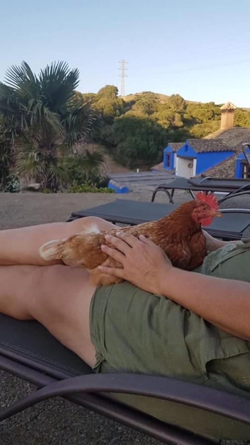 Finca La Cantarera Tarifa Buitenkant foto